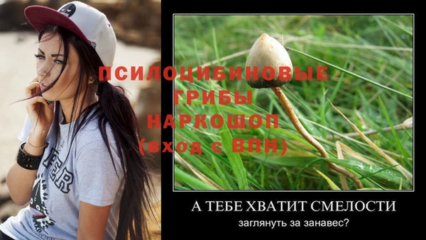 бутират Мегион