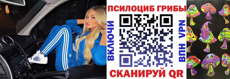 ссылка на мегу как войти  Усинск  Галлюциногенные грибы Psilocybine cubensis 