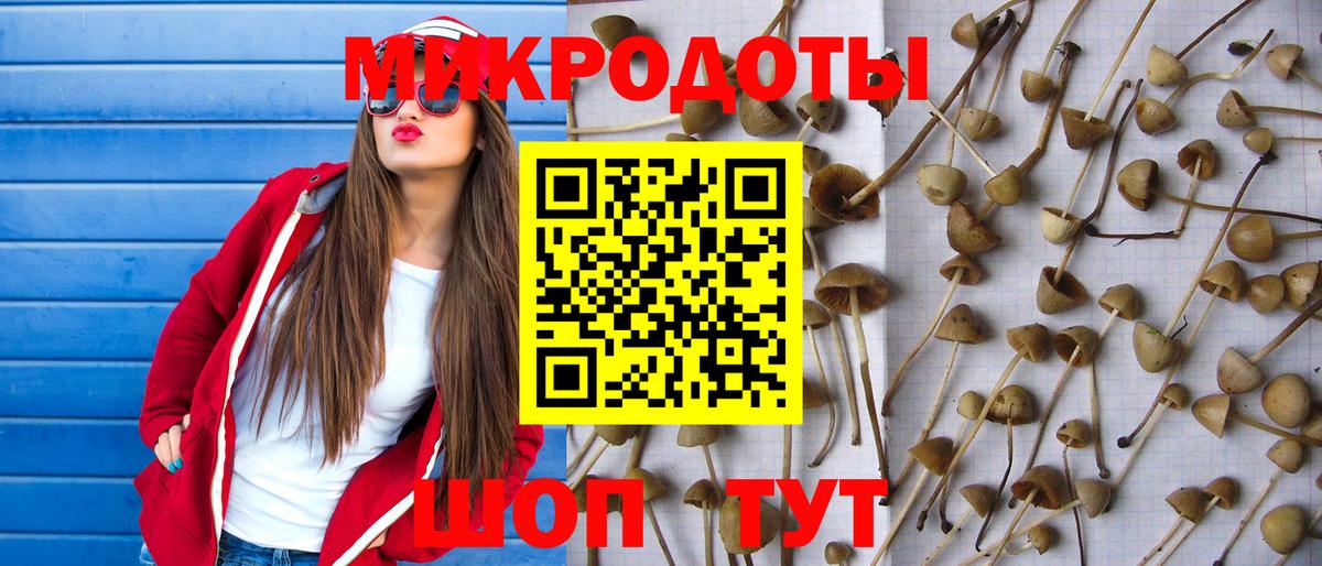 Галлюциногенные грибы Psilocybine cubensis Усинск