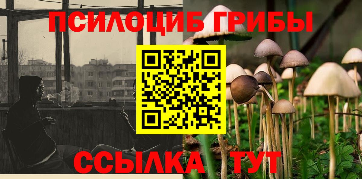 купить   Вход с VPN  Усинск  Псилоцибиновые грибы мухоморы 